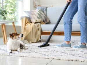When preparing for house sitters to look after your home and pets you should clean and declutter before their arrival.
