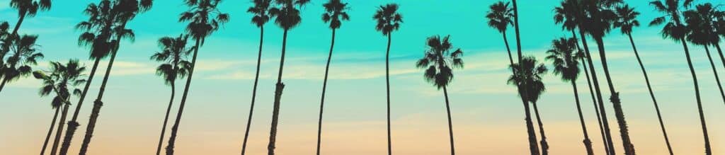 Tropical coconut palms and blue sky capturing the freedom of seniors travelling in style with luxury home swapping.