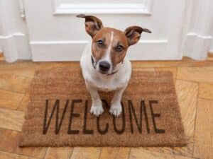 A house sitter being welcomed to the home by the boss.