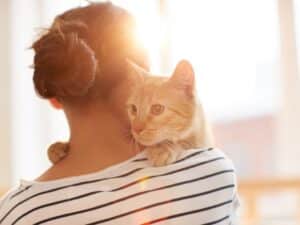 This cat is loving her house sitters attention.