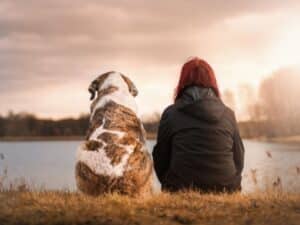 House sitters are great for one on one companionship like these two enjoying the lake.